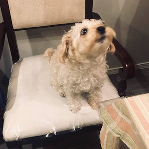 Meet your Posher, Jonathan